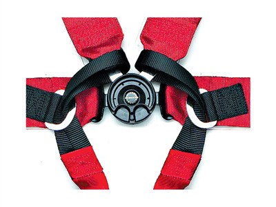 6-Point Harnesses