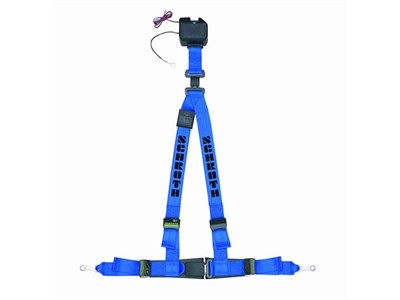3-Point Harnesses
