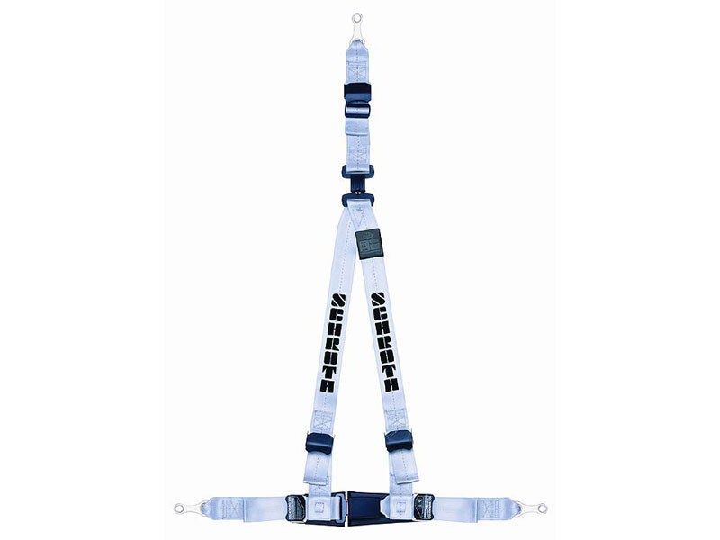 Schroth 14609 Rallye 3 ASM Silver Harness - Right