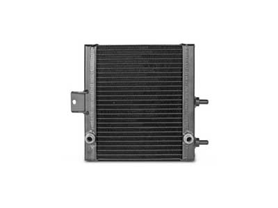 Wagner Tuning 400001003.SM Side Mount Radiator for BMW M3 / M4 / Wagner Tuning 400001003.SM Radiator